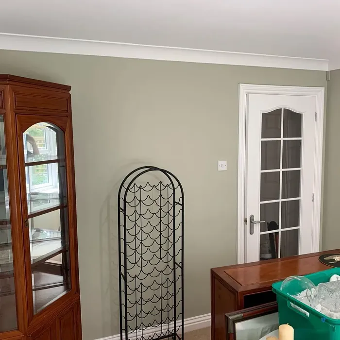 Farrow and Ball 266 dining room color