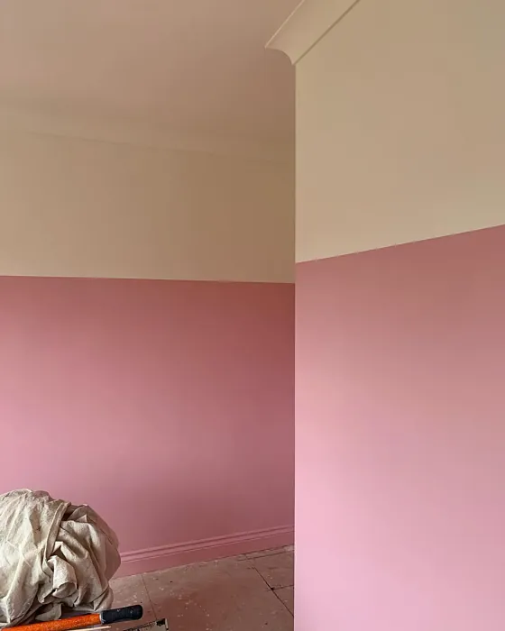 Farrow and Ball Nancy's Blushes color block