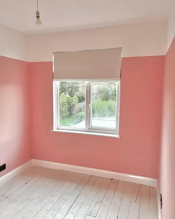 Farrow and Ball Nancy's Blushes 278 color block