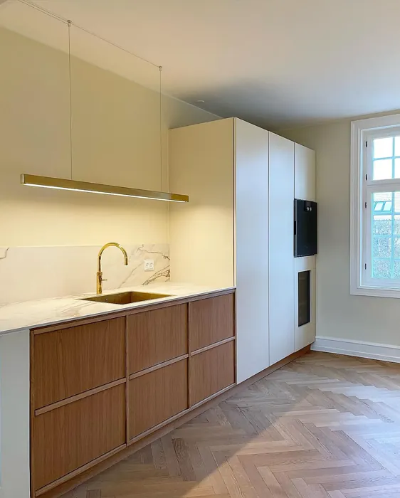 New White minimalist kitchen 