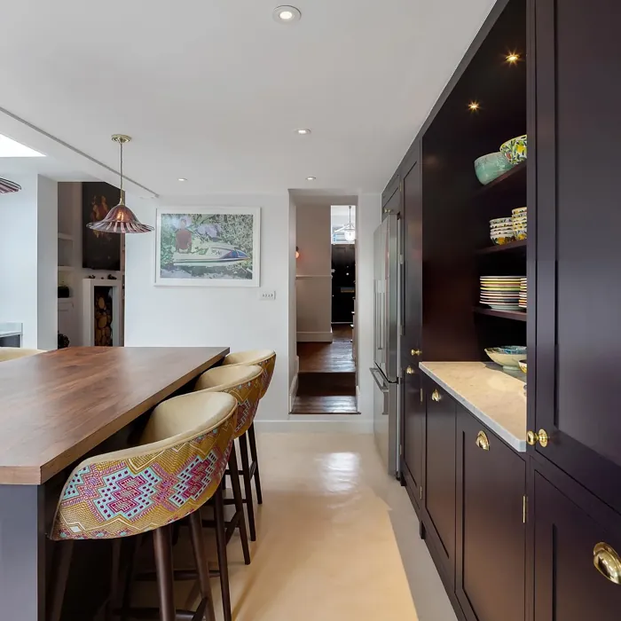 Farrow and Ball Paean Black kitchen cabinets paint