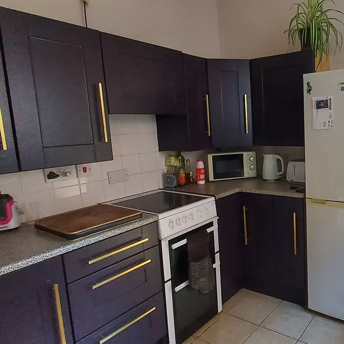 Farrow and Ball Paean Black kitchen cabinets makeover