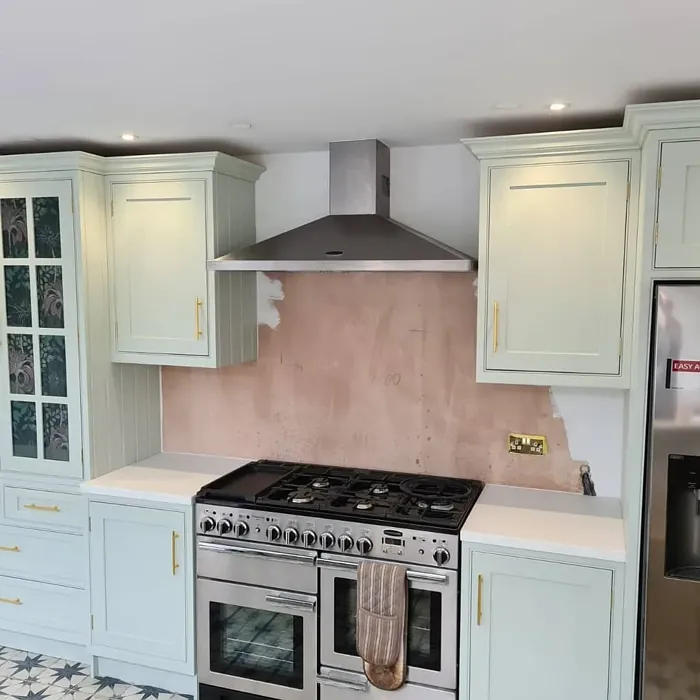 Pale Powder kitchen cabinets 