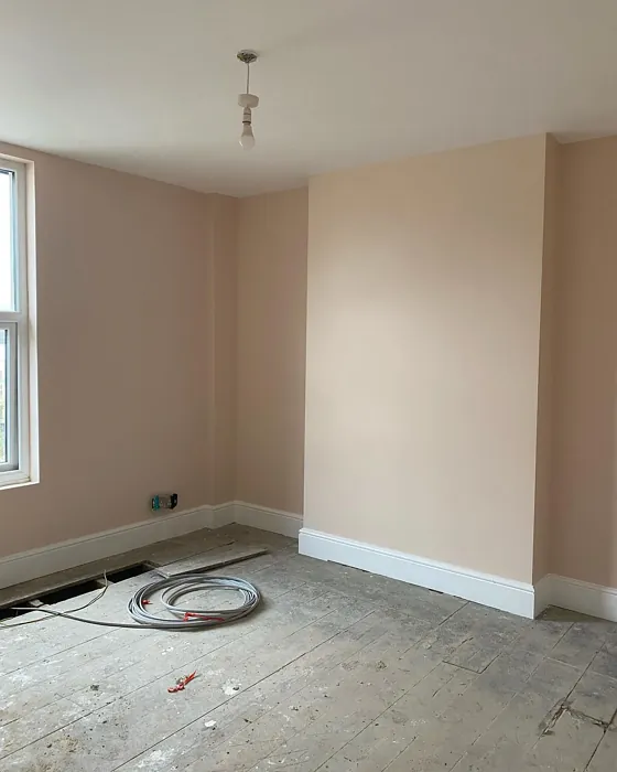 Farrow and Ball Pink Ground 202 wall paint
