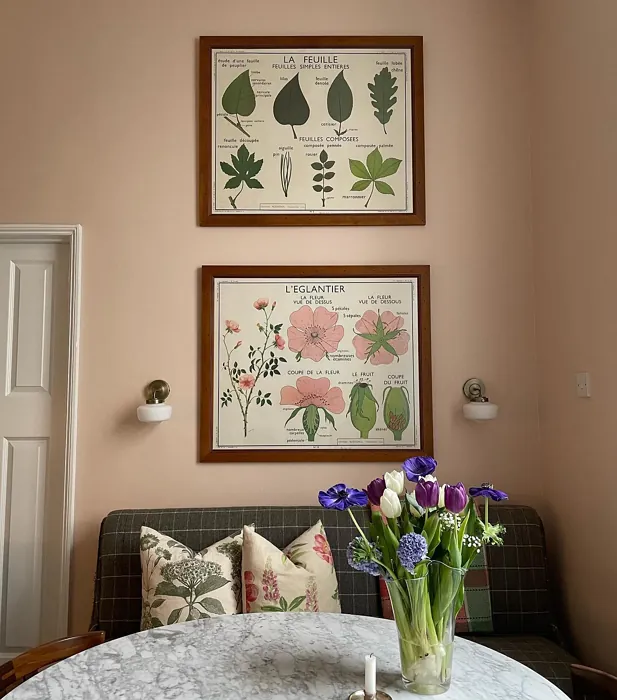 Farrow and Ball Pink Ground 202 dining room