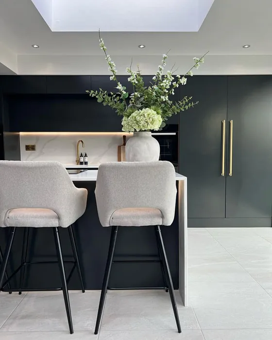 Farrow and Ball Pitch Black 256 kitchen cabinets