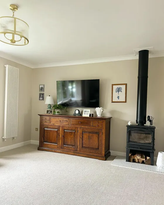 Stirabout living room color review