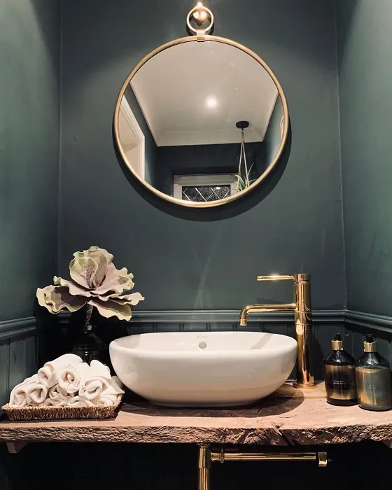 Farrow and Ball Studio Green cozy bathroom 