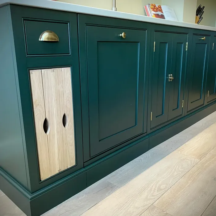 Studio Green dark kitchen cabinets 