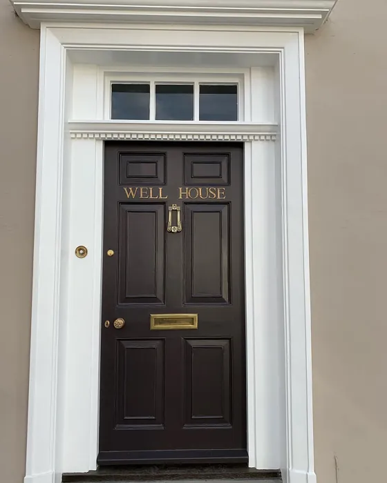 Tanner's Brown front door color review