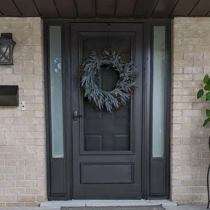 Tanner's Brown front door picture