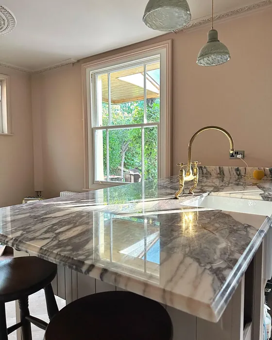 Templeton Pink kitchen interior