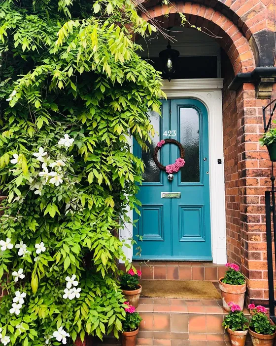 Farrow and Ball Vardo front door color