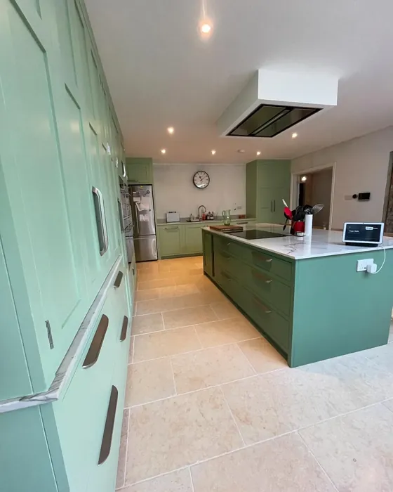 Farrow and Ball Whirlybird kitchen cabinets color