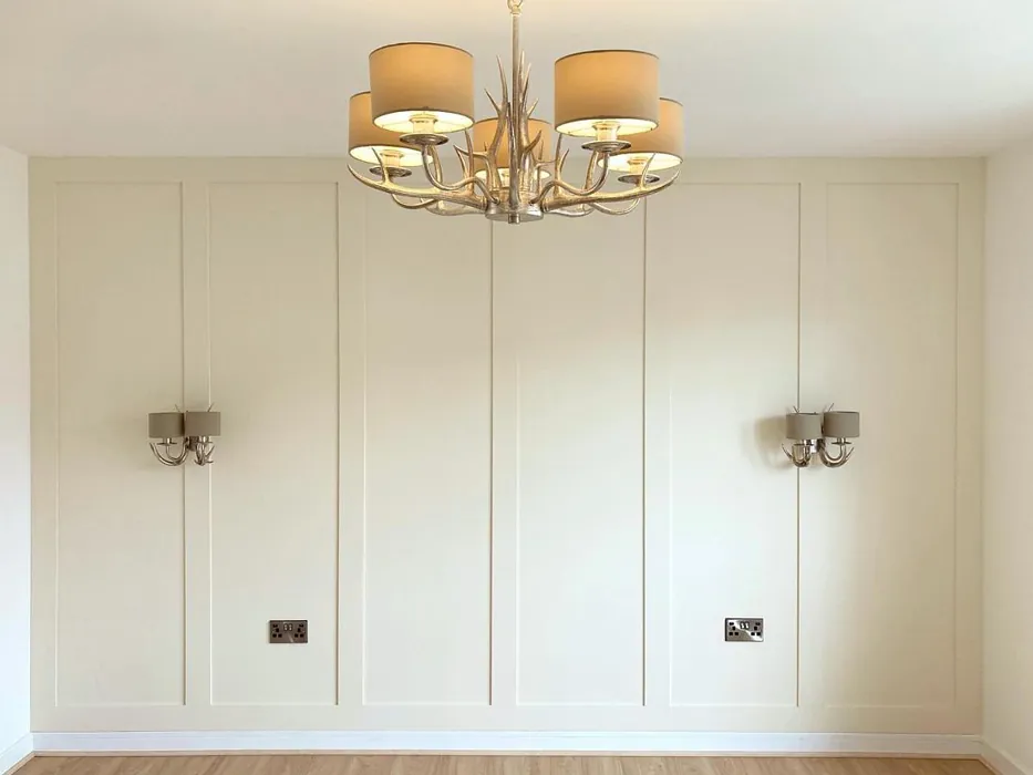 Farrow and Ball White Tie 2002 panelling