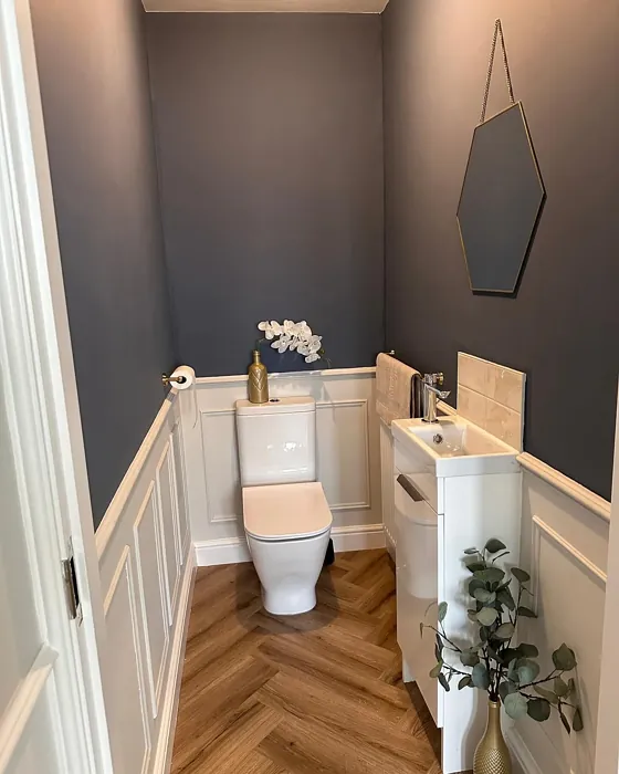 Farrow and Ball Wine Dark bathroom color