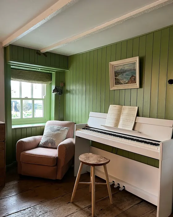 Yeabridge Green wall paint 