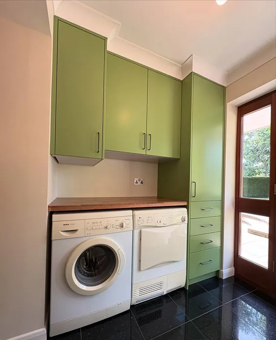 Yeabridge Green painted cabinets 