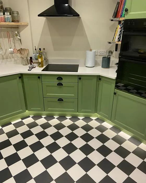 Yeabridge Green kitchen cabinets paint review