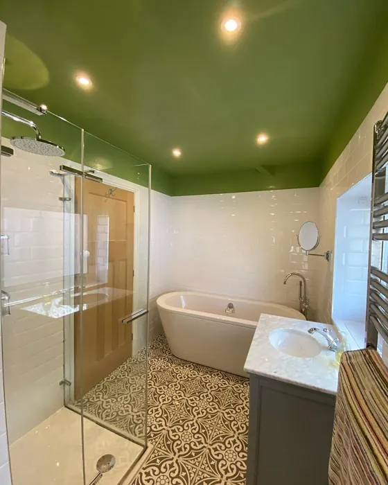 Yeabridge Green bathroom ceiling