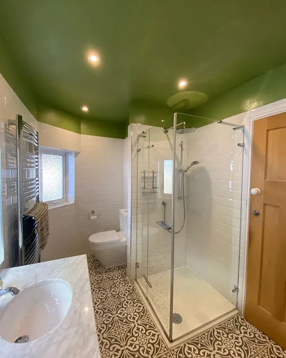 FB Yeabridge Green bathroom ceiling