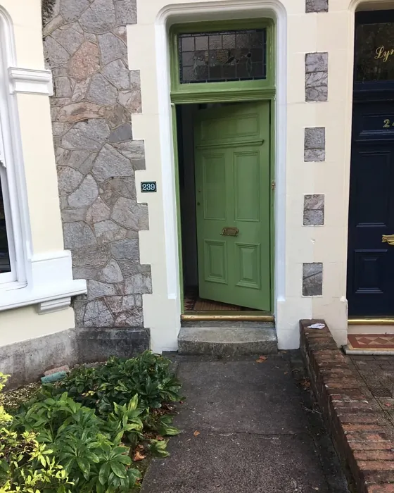Yeabridge Green front door color