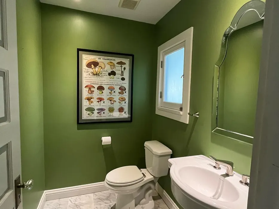 Farrow and Ball Yeabridge Green bathroom color