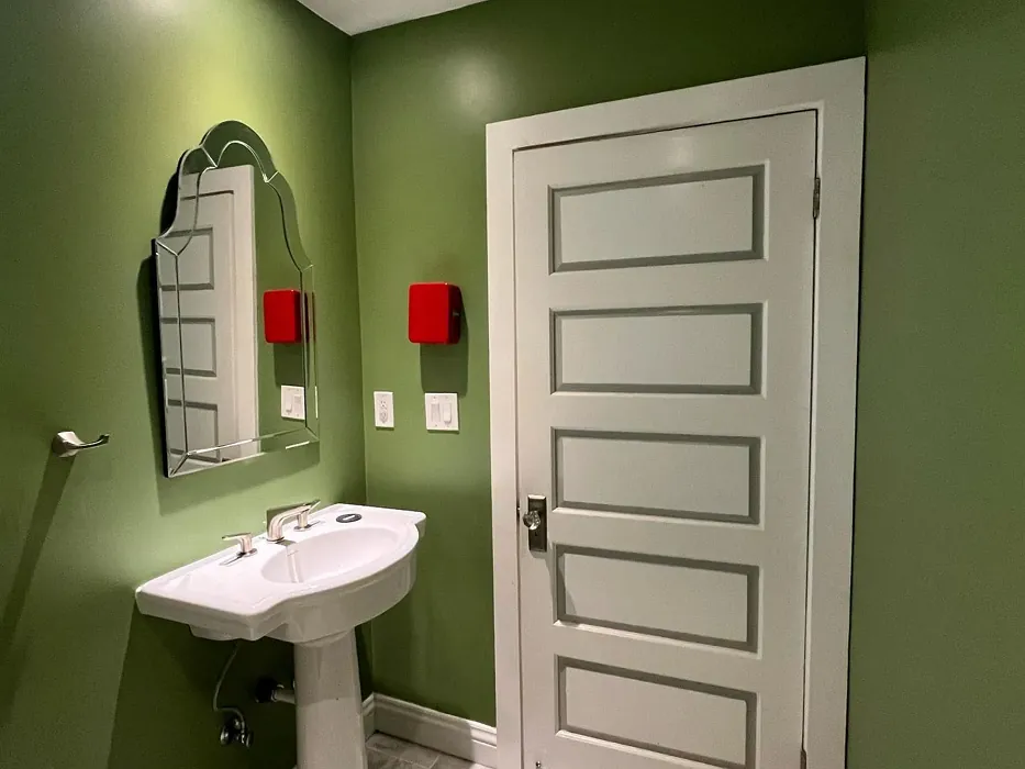 Farrow and Ball Yeabridge Green bathroom interior