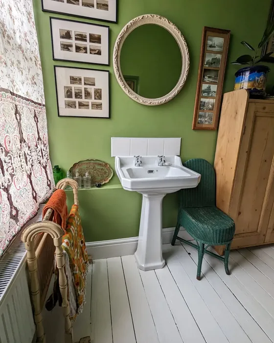 Farrow and Ball Yeabridge Green bathroom 