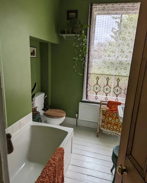 Farrow and Ball Yeabridge Green bathroom inspiration
