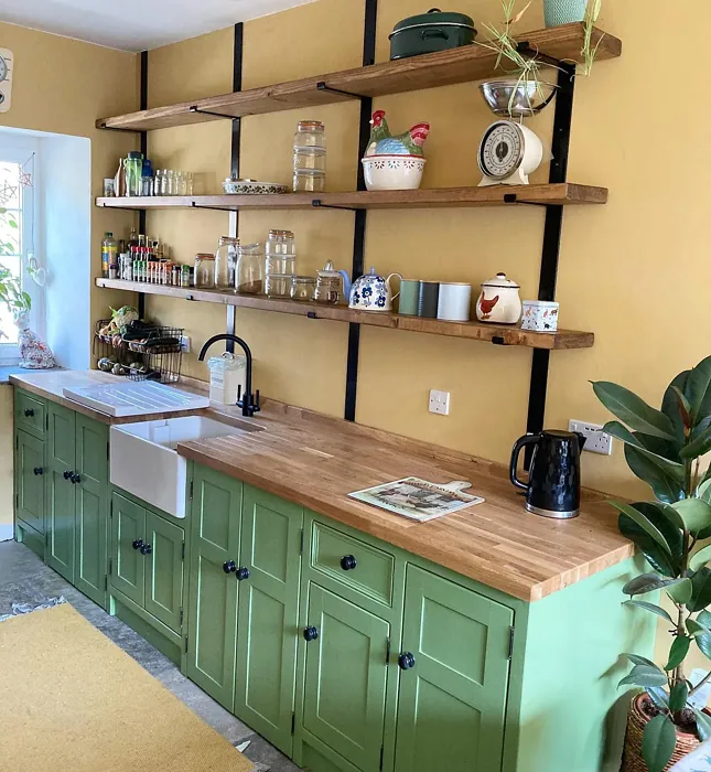 Farrow and Ball Yeabridge Green kitchen cabinets 