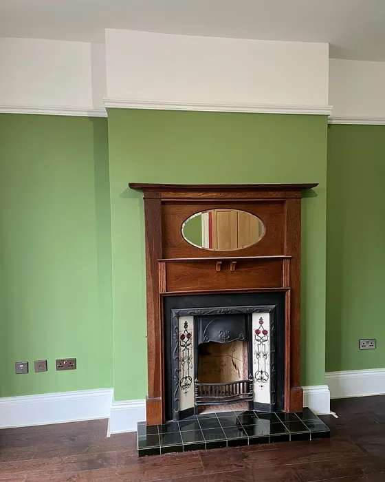 Yeabridge Green living room color