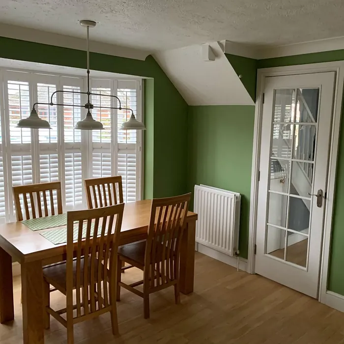 Farrow and Ball Yeabridge Green dining room review