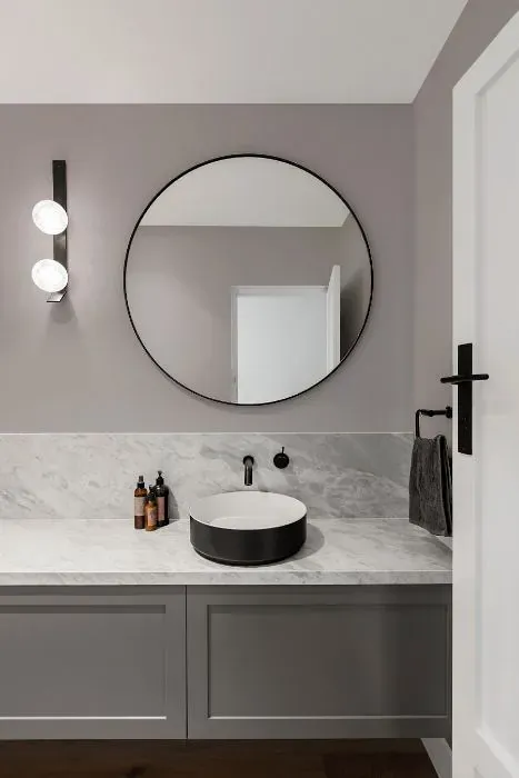 Sherwin Williams Fashionable Gray minimalist bathroom