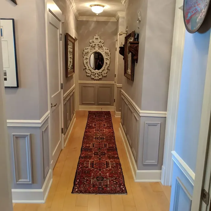 Sherwin Williams Fashionable Gray hallway interior
