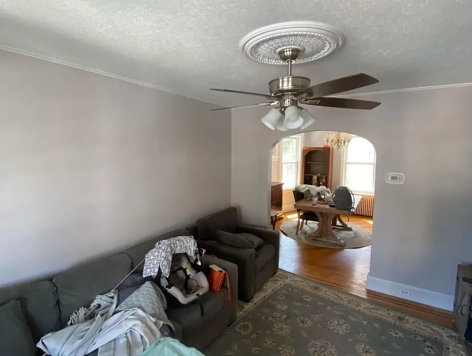 Sherwin Williams destiny living room color review