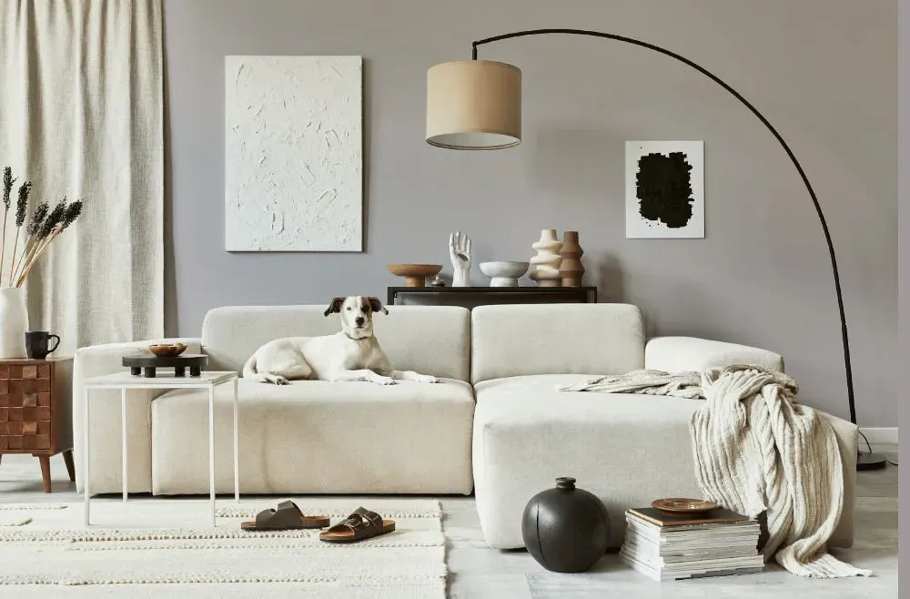 Sherwin Williams Fashionable Gray cozy living room