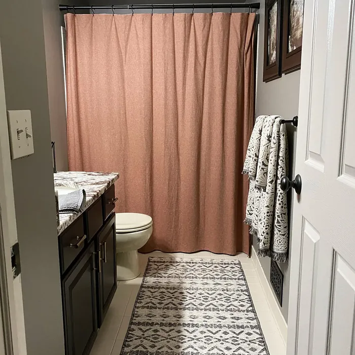 Sherwin Williams Felted Wool bathroom review