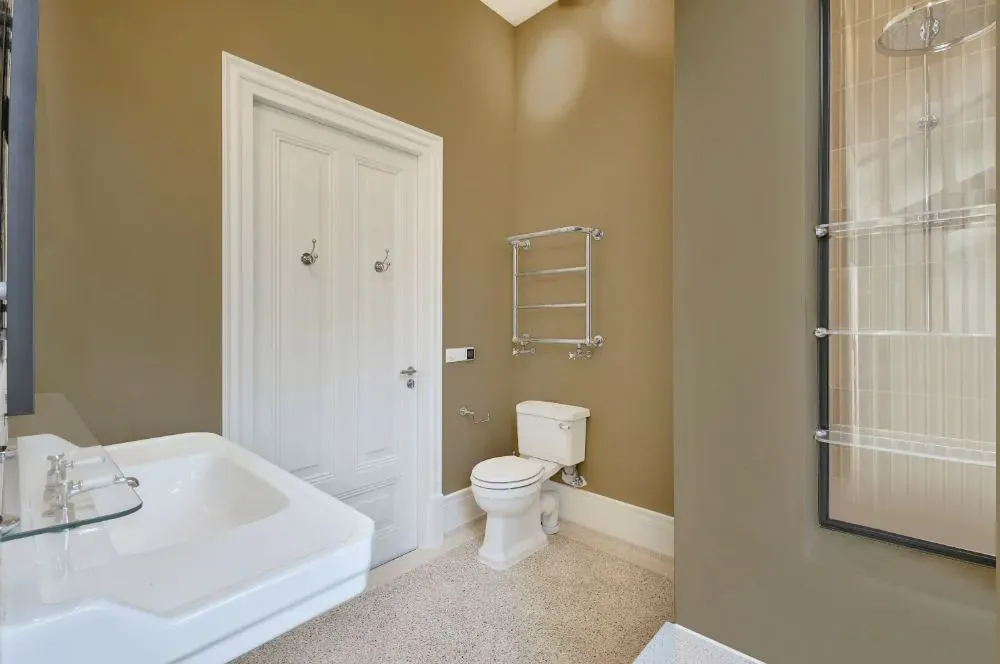 Sherwin Williams Fenland bathroom