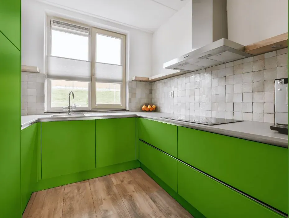 Sherwin Williams Festival Green small kitchen cabinets