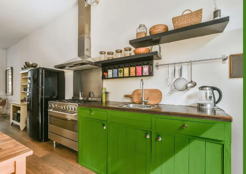 Sherwin Williams Festival Green kitchen cabinets