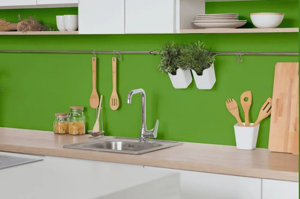 Sherwin Williams Festival Green kitchen backsplash