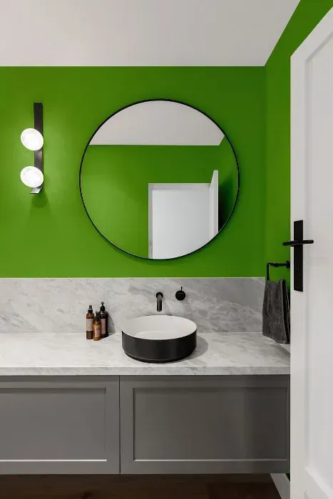 Sherwin Williams Festival Green minimalist bathroom