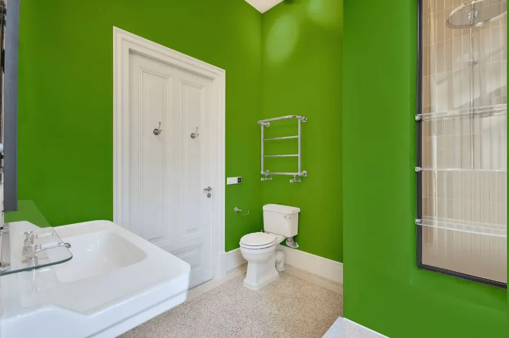 Sherwin Williams Festival Green bathroom