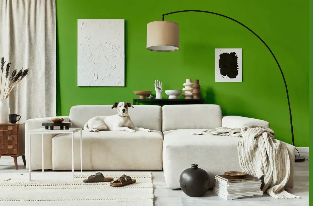 Sherwin Williams Festival Green cozy living room