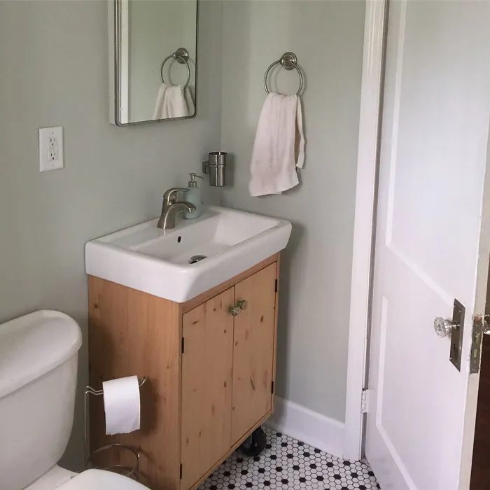 Filmy Green Bathroom