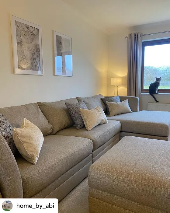 Dulux 65YY 90/062 living room color