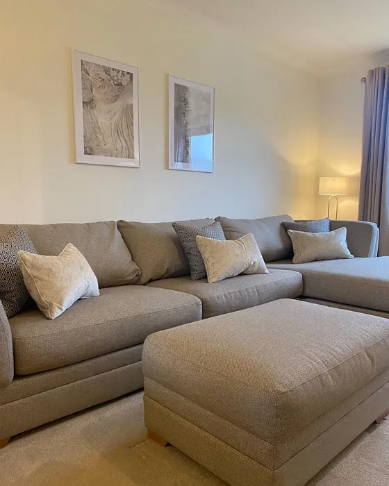 Dulux 65YY 90/062 living room review