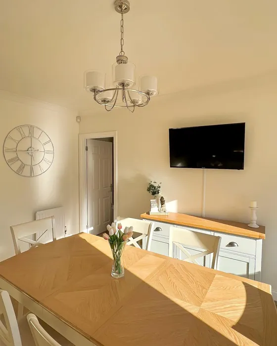 Dulux 65YY 90/062 dining room color