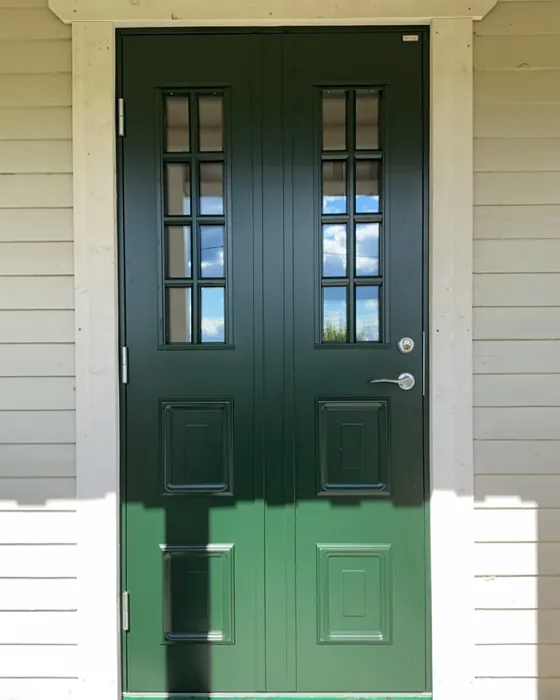 RAL 6009 front door paint
